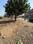 Others image of 960.0 Sq.ft   Commercial Plot for rent in Nagla for 125000