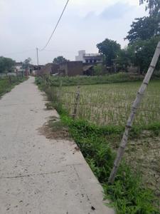 Commercial Plot