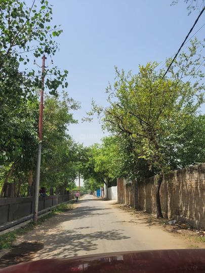 Others image of 1000.0 Sq.ft   Shop for rent in Sector 143B for 30000