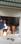 Entrance image of 250.0 Sq.ft Shop for rent in New Maninagar for 18500