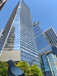 Others image of 1300.0 Sq.ft  Ready to use Office Space for rent in Sadikpur for 25000