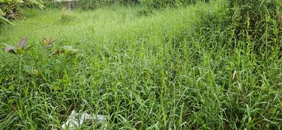 Entrance image of 8715.0 Sq.ft   Commercial Plot for sale in Athani for 400000