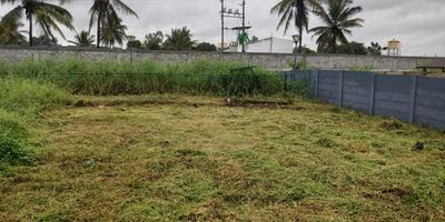 Commercial Plot