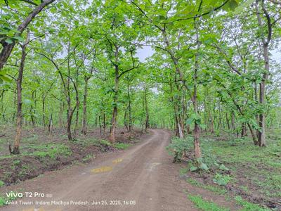 Others image of 4000.0 Sq.ft   Commercial Property for sale in Gajinda for 1760000