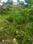 Others image of 8432.0 Sq.ft   Commercial Plot for sale in New Kangra for 13000000