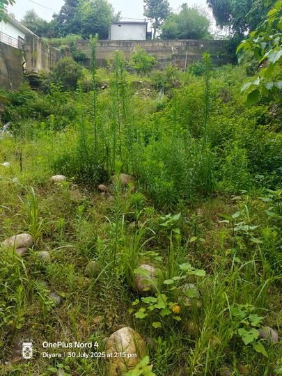 Others image of 8432.0 Sq.ft   Commercial Plot for sale in New Kangra for 13000000