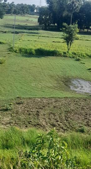 Others image of 2700.0 Sq.ft   Commercial Plot for sale in Mabbi Belauna for 4000000