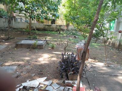 Commercial Plot
