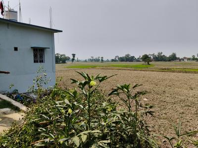 Commercial Plot