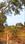 Others image of 65122.0 Sq.ft   Commercial Plot for sale in Dasuya for 1600000