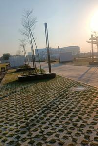 Others image of 666.0 Sq.ft   Commercial Plot for sale in Sector 78 for 49500000
