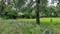 Others image of 10000.0 Sq.ft   Commercial Plot for rent in Baligara for 15000