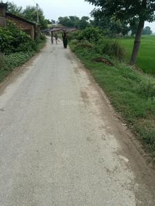 Commercial Plot