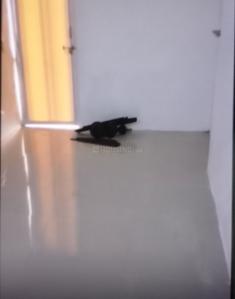 Others image of 250.0 Sq.ft   Shop for rent in Naranpura for 12000