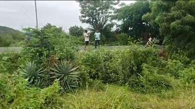 Others image of 6200.0 Sq.ft   Commercial Plot for sale in Jatni for 4900000