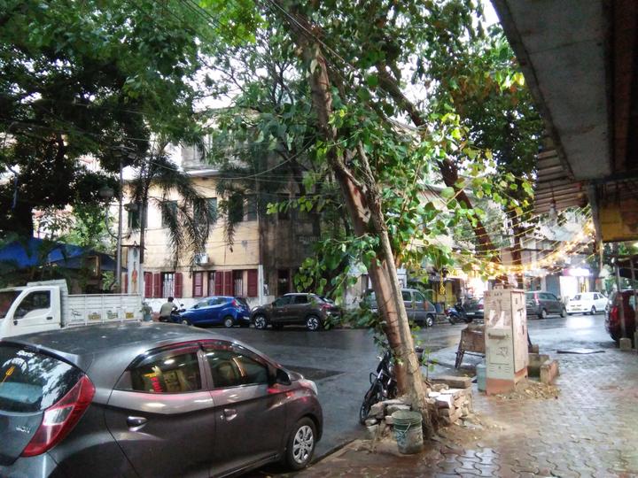 300 sq.ft Showroom for rent in Kalighat, Kolkata ID 100057788