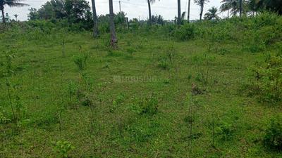 Others image of 1200.0 Sq.ft   Commercial Plot for rent in Ramohalli for 12000