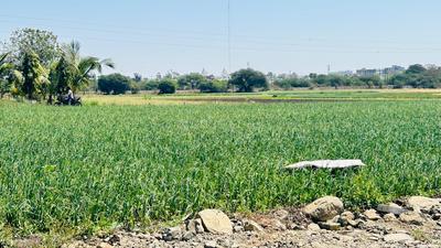 Others image of 5000.0 Sq.ft   Commercial Plot for sale in Rau for 12495000