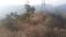 Outside View image of 6000.0 Sq.ft   Commercial Plot for rent in Kuthar for 80000