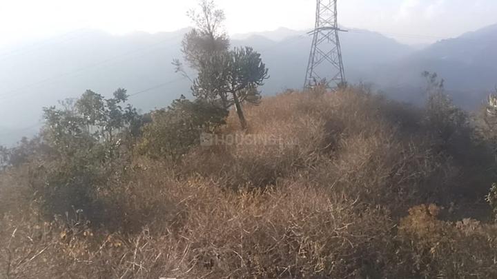 Outside View image of 6000.0 Sq.ft   Commercial Plot for rent in Kuthar for 80000