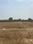 Others image of 180.0 Sq.ft   Commercial Plot for sale in Markapur for 900000