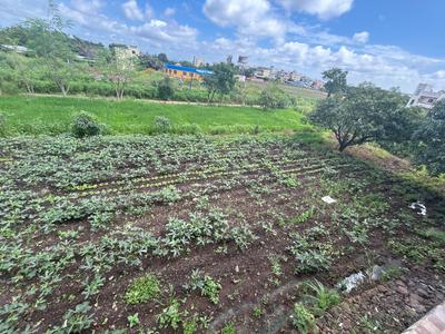 Others image of 20000.0 Sq.ft   Commercial Plot for rent in Aambethan for 60000