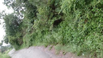 Others image of 20250.0 Sq.ft   Commercial Plot for sale in Kandaghat for 4500000