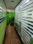 Others image of 900.0 Sq.ft  Ready to use Office Space for rent in Hazratganj for 45000