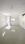 Cabin image of 1550.0 Sq.ft  Ready to use Office Space for rent in Adyar for 100000