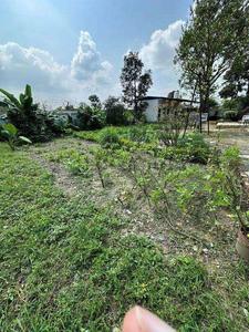 Others image of 9000.0 Sq.ft   Commercial Plot for rent in Chironwali for 80000