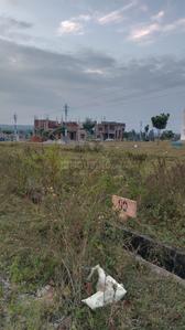 Commercial Plot
