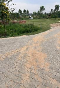 Others image of 15000.0 Sq.ft   Warehouse for sale in Barwala for 55000000