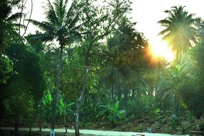 Others image of 6534.0 Sq.ft   Commercial Plot for sale in JP Nagar for 196000