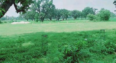 Commercial Plot