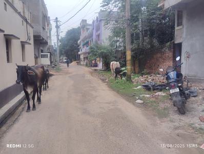 Others image of 502.0 Sq.ft   Warehouse for rent in Jhousagarhi for 18000