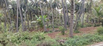 Others image of 10187.0 Sq.ft Commercial Plot for sale in Vadipatti for 4000000