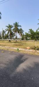 Others image of 200.0 Sq.ft   Commercial Plot for sale in Andhra Pradesh Housing Board Colony for 3600000
