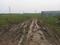 Others image of 1000.0 Sq.ft Commercial Property for rent in Mangadu for 10000
