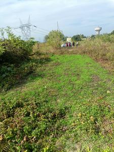 Others image of 221.0 Sq.ft   Commercial Plot for sale in Doiwala for 120000