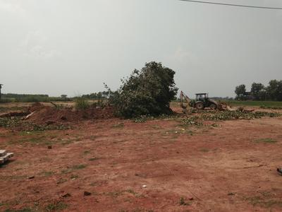Others image of 5652.0 Sq.ft   Commercial Plot for sale in Barwala for 6908000