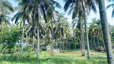 Others image of 290625.0 Sq.ft   Commercial Plot for rent in Avalapalli for 1000000