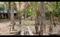 Others image of 49005.0 Sq.ft Commercial Plot for sale in Nagaon for 67500000