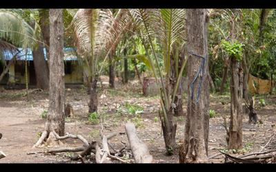 Others image of 49005.0 Sq.ft   Commercial Plot for sale in Nagaon for 67500000