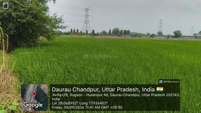 Commercial Plot