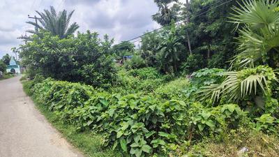 Others image of 2880.0 Sq.ft   Commercial Plot for sale in New Town for 5000000