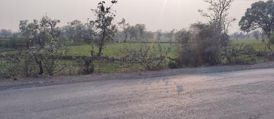 Others image of 33000.0 Sq.ft Commercial Plot for rent in Mopka for 200000