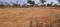 Others image of 87120.0 Sq.ft   Commercial Plot for sale in Rohidas Nagar for 5000000