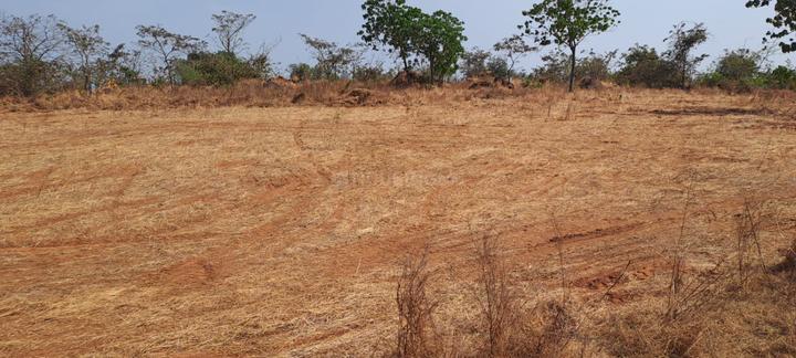 Others image of 87120.0 Sq.ft   Commercial Plot for sale in Rohidas Nagar for 5000000