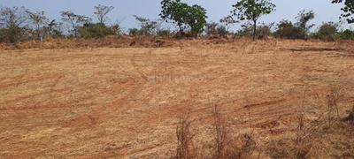 Others image of 87120.0 Sq.ft   Commercial Plot for sale in Rohidas Nagar for 5000000