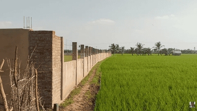 Commercial Plot